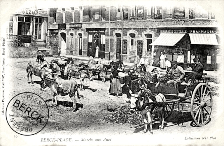 30 - Marché aux Anes
