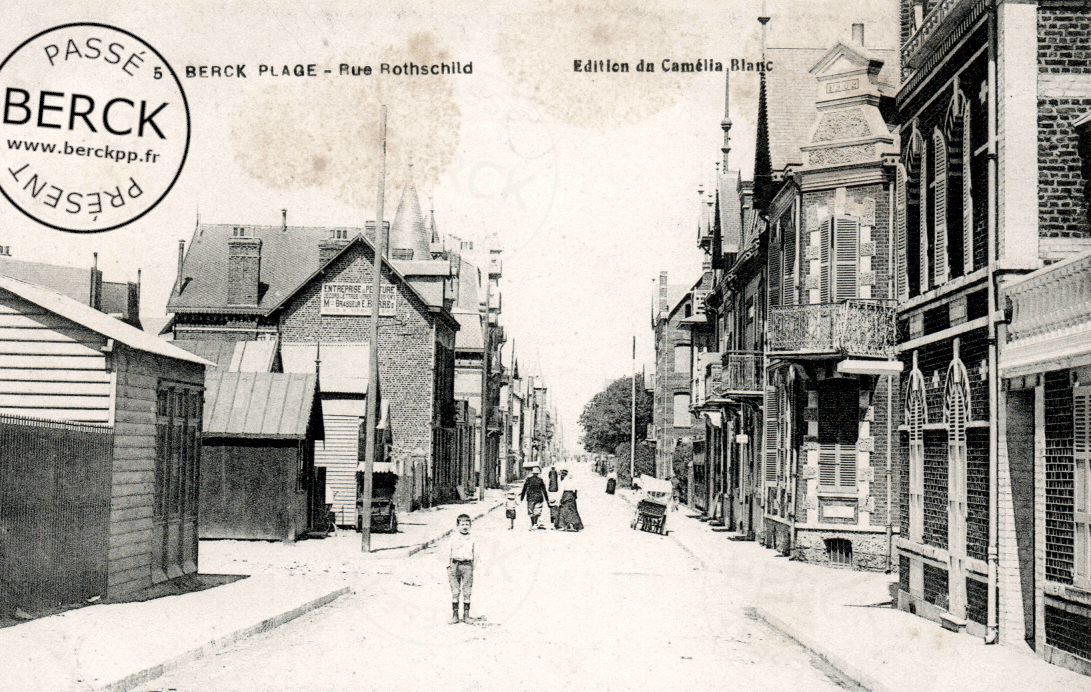Edition du Camélia Blanc