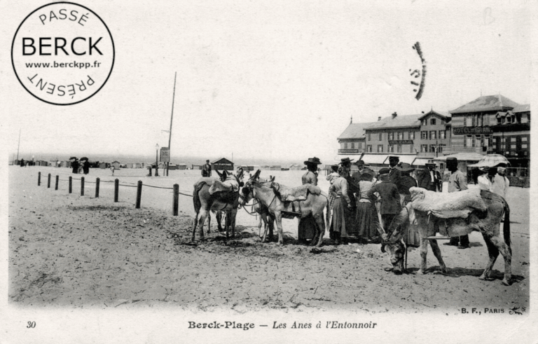 30 - Les Anes à l'Entonnoir