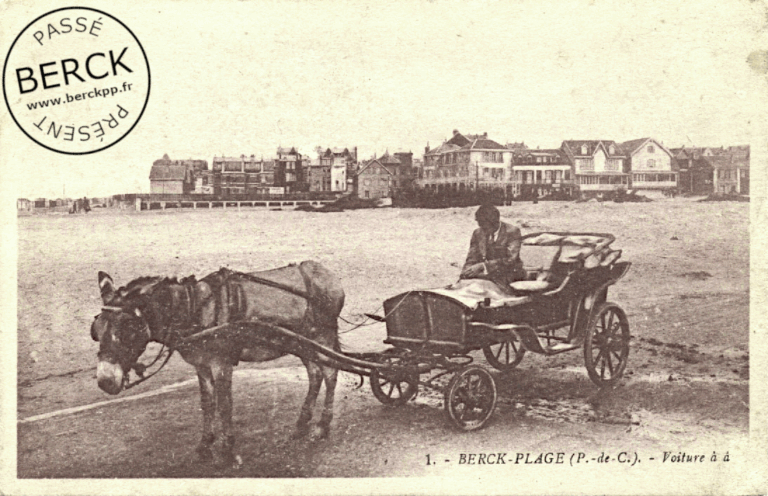1 - Voiture à ane