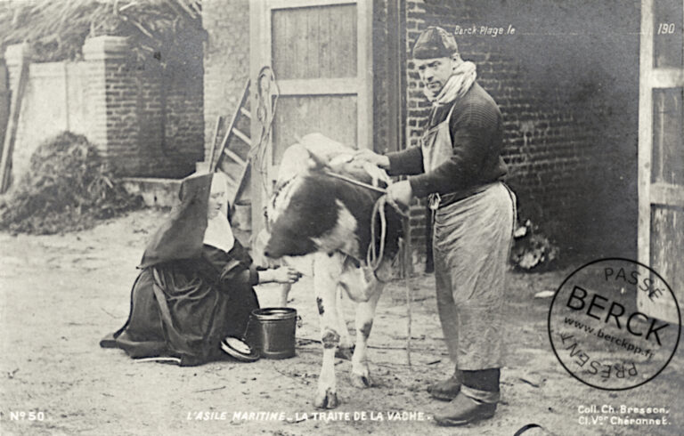 50 - L'Asile Maritime - La traite de la vache