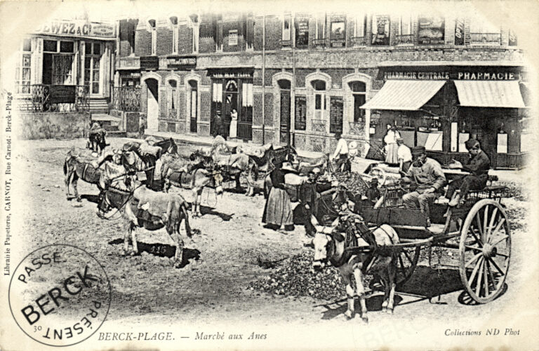 30 - Marché aux Anes
