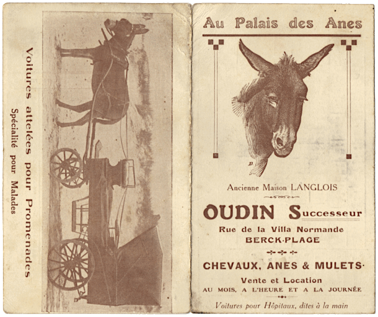 Au Palais des Anes