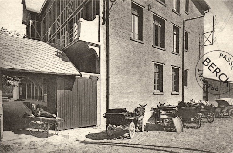 135 - VILLA NORMANDE - Sortie des Malades pour la promenade