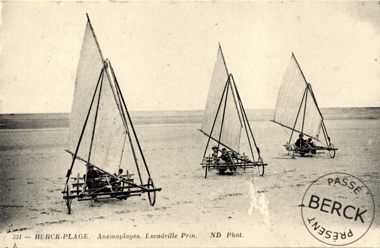 331 - Anemoplages
