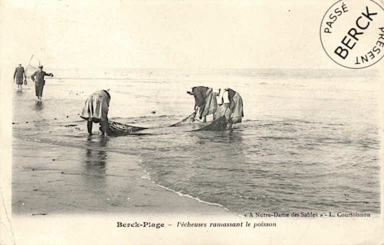 Pêcheuses ramassant le poisson