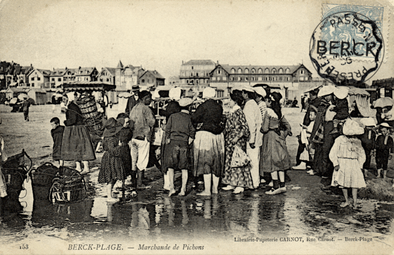153 - Marchande de Pichons