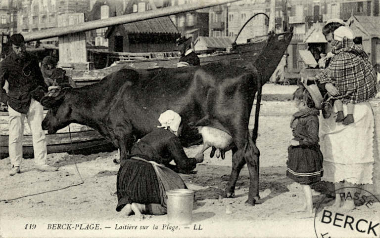 119 - Laitière sur la Plage
