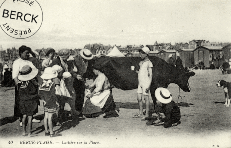 40 - Laitière sur la Plage