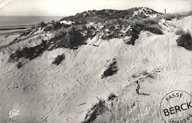 1183 - Les Dunes