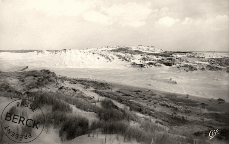 73 - Les Dunes
