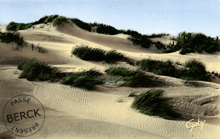 37 - Les Dunes