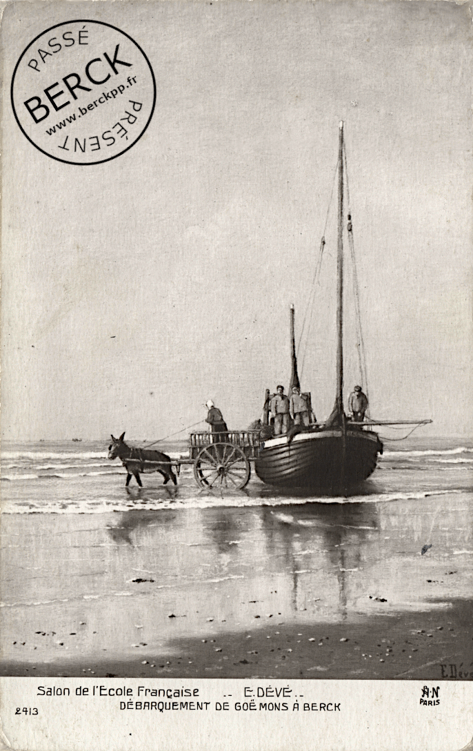 Débarquement de goémons à Berck