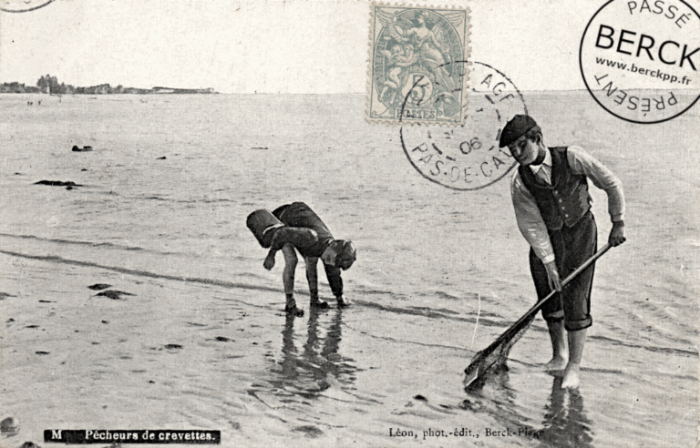 M - Pêcheurs de crevettes