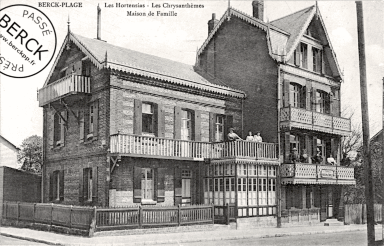 Les Hortensias - Les Chrysanthèmes